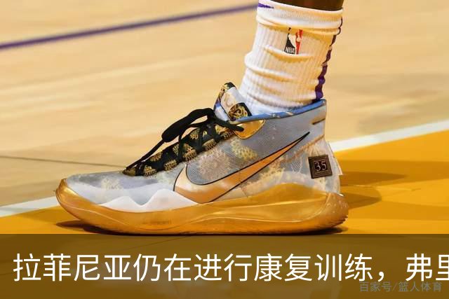 拉菲尼亚仍在进行康复训练，弗里克需对其状况进行评估